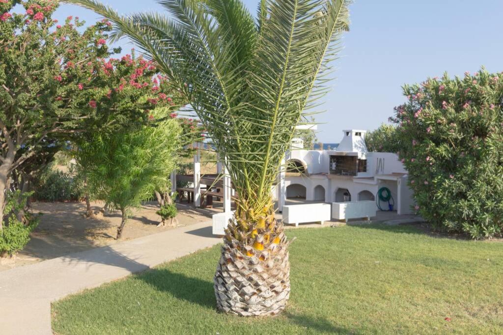 Renes Paradise Seahome - Afandou Beach, Rhodes 科林比亚 外观 照片